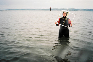 Completing SCUBA sub-tidal benthic surveys.